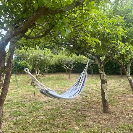 Appartamento Casa Maria - 3km Del Camino *