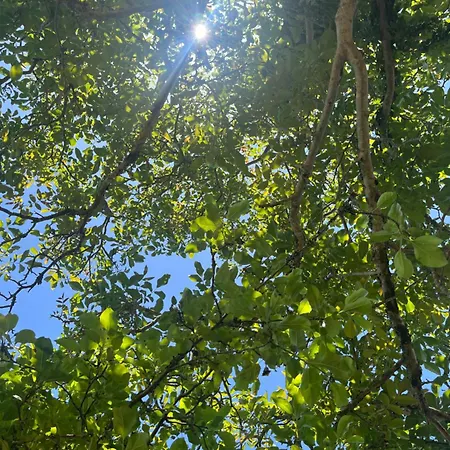 公寓 Casa Maria Abegondo