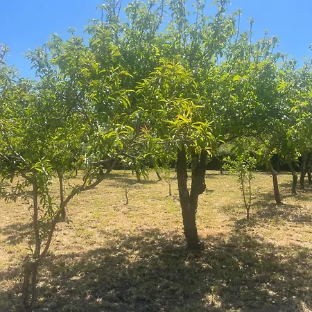 Casa Maria 公寓 Abegondo