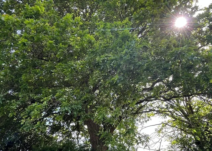 Casa Maria Apartmán