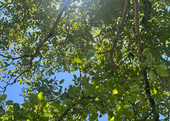 Apartmán Casa Maria Abegondo