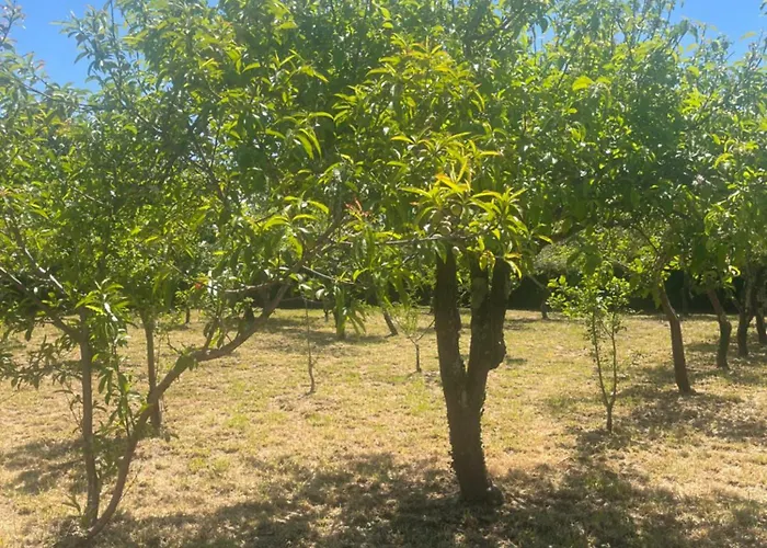 Casa Maria Διαμέρισμα Abegondo